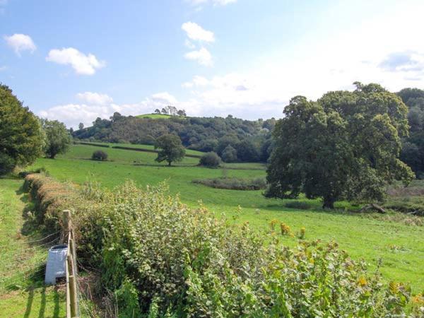 Ffynnonlwyd Cottage Llangynin Εξωτερικό φωτογραφία